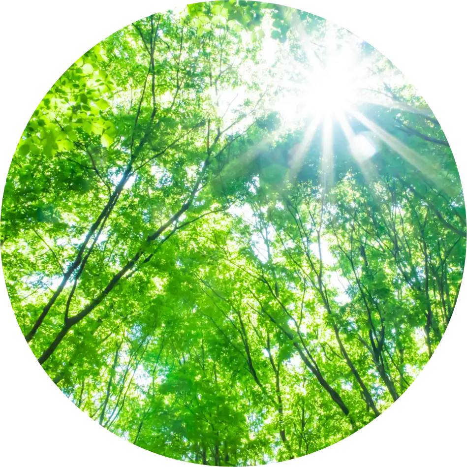 特設サイトイメージ