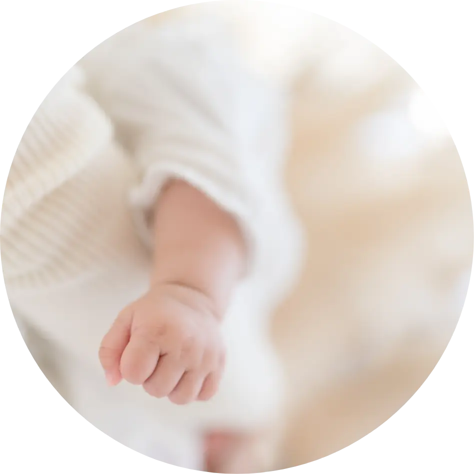 特設サイトイメージ