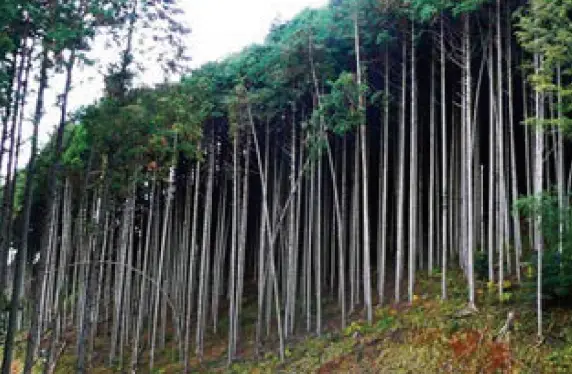 トヨタ自動車労働組合