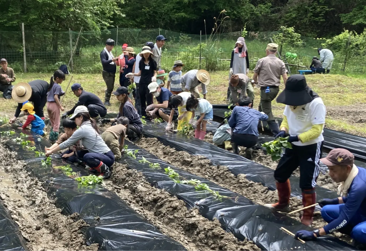 トヨタ自動車労働組合